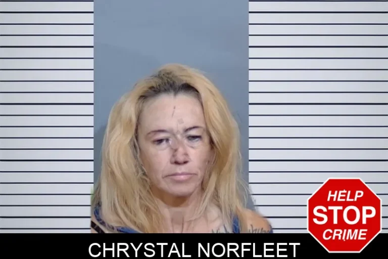 Chrystal Norfleet mugshot – Glynn County , Georgia Chrystal Norfleet