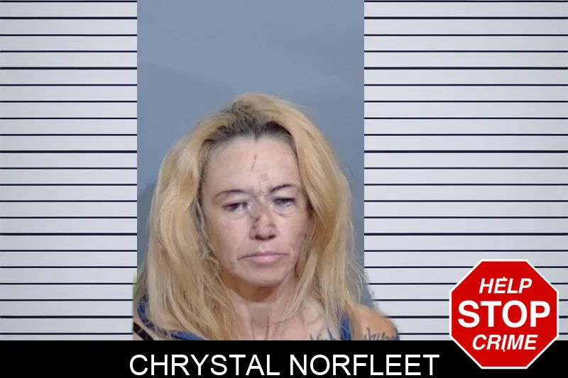 Chrystal Norfleet Mugshots
