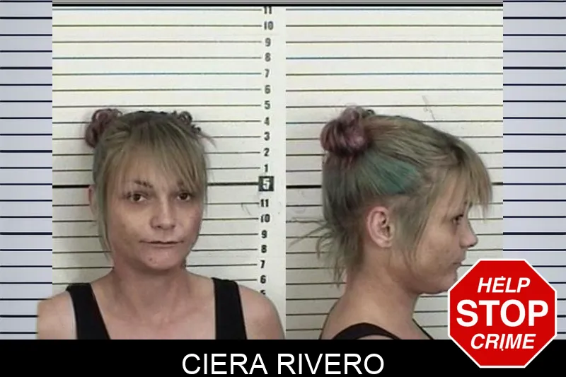 Ciera Rivero Mugshots