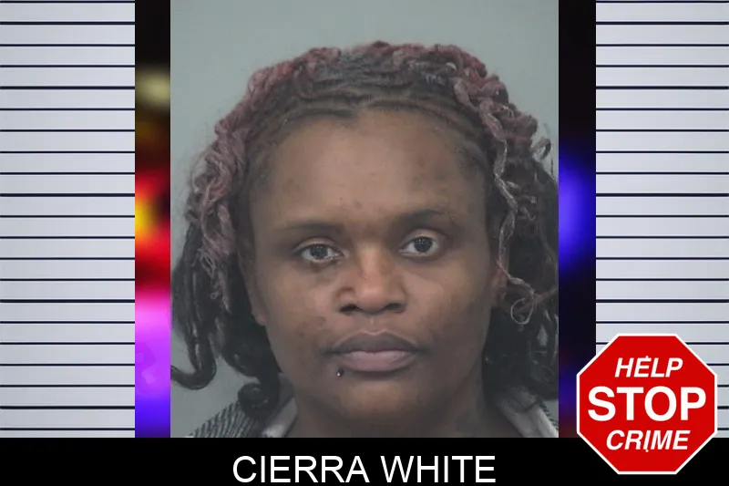 Cierra White mugshot