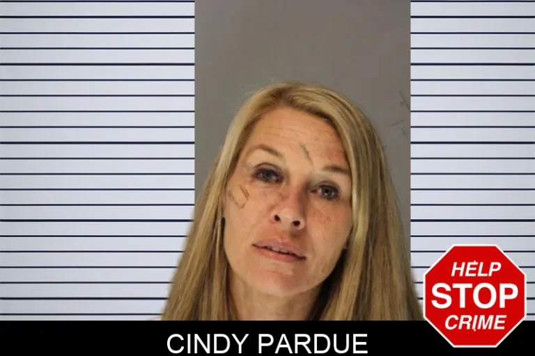 Cindy Pardue mugshot – Hall County , Georgia Cindy Pardue