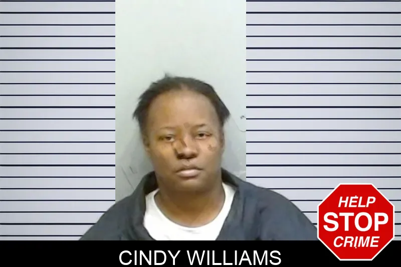 Cindy Williams Mugshots