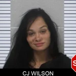 Cj Wilson Mugshots