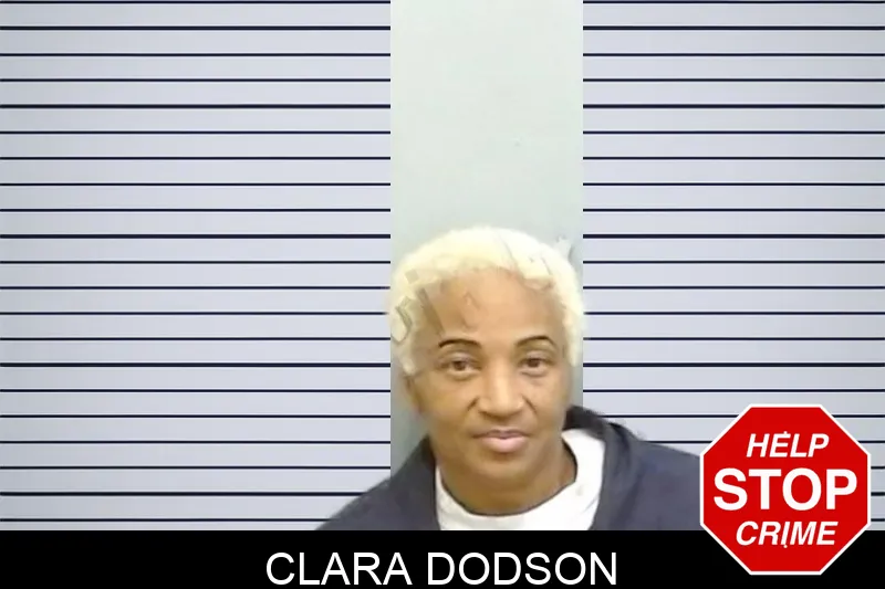 Clara Dodson mugshot – Fulton County , Georgia Clara Dodson mugshot