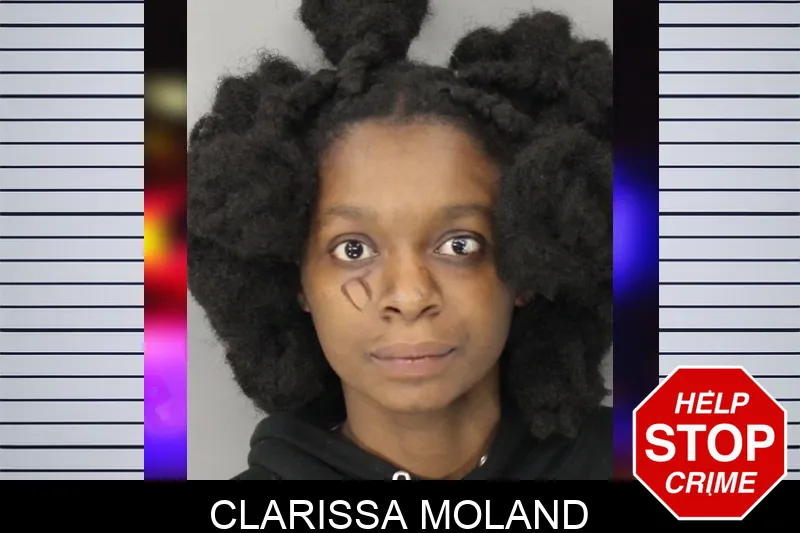 Clarissa Moland Mugshots