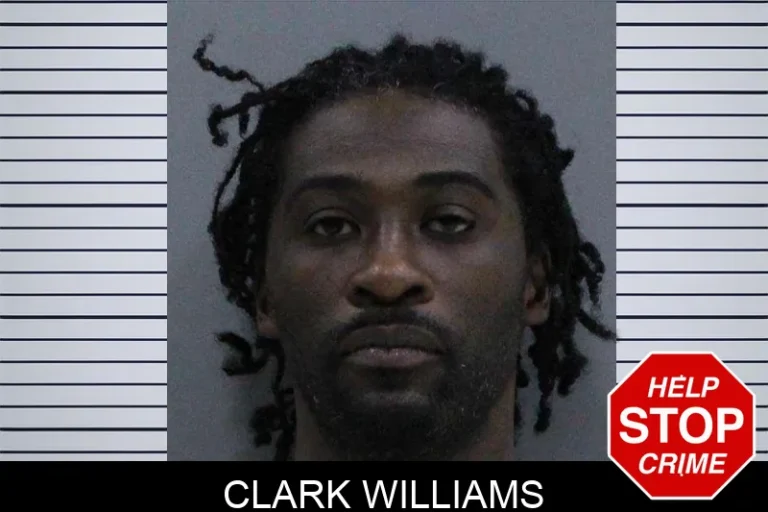 Clark Williams