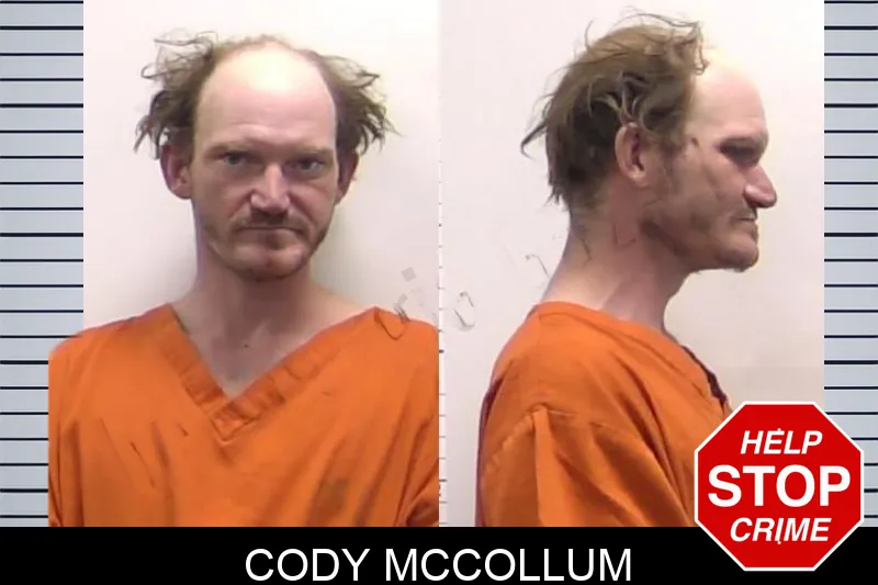 Cody McCollum Mugshots