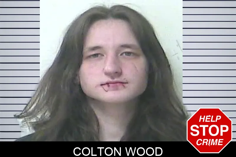 Colton Wood Mugshots