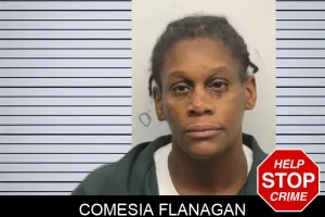 Comesia Flanagan mugshot