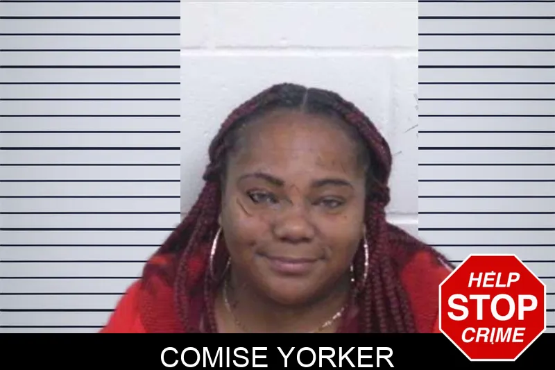 Comise Yorker Mugshots