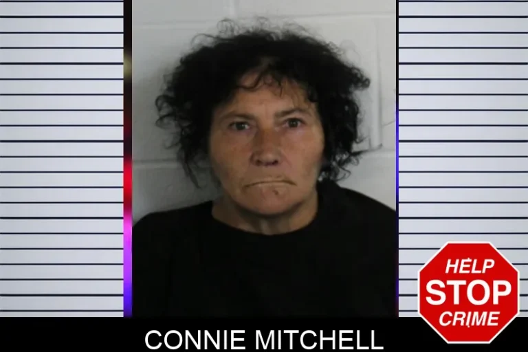 Connie Mitchell mugshot – Floyd County , Georgia Connie Mitchell