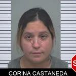 Corina Castaneda Mugshots