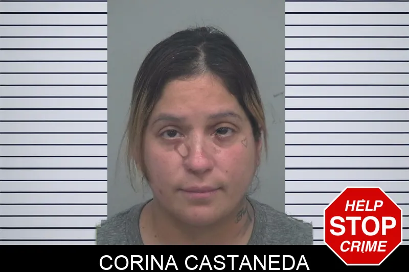 Corina Castaneda Mugshots