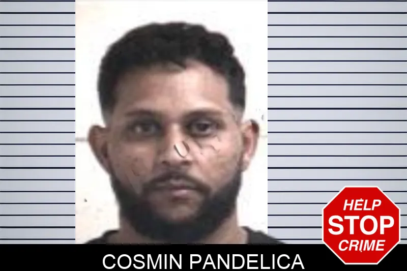 Cosmin Pandelica mugshot