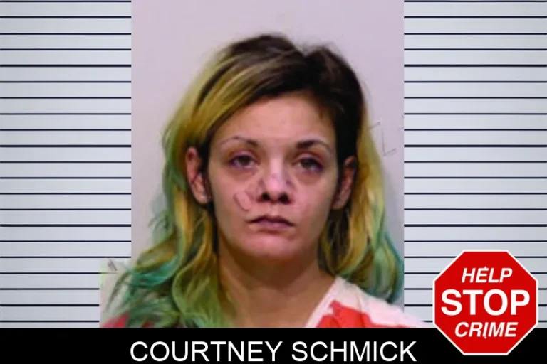 Courtney Schmick mugshot – Bartow County , Georgia Courtney Schmick