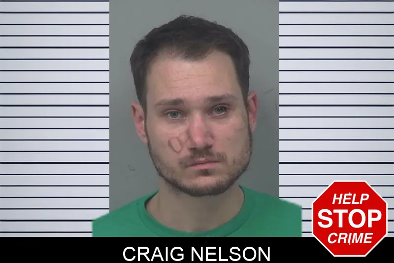 Craig Nelson mugshot – Gwinnett County , Georgia Craig Nelson mugshot