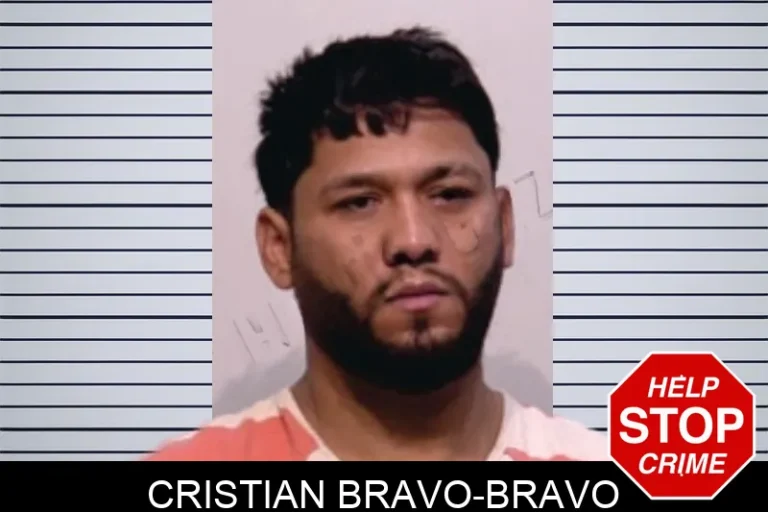 Cristian Bravo-Bravo