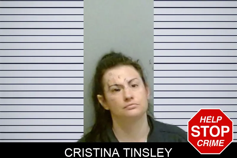 Cristina Tinsley Mugshots