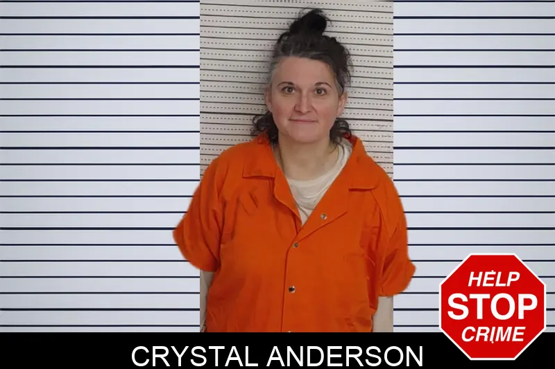 Crystal Anderson Mugshots