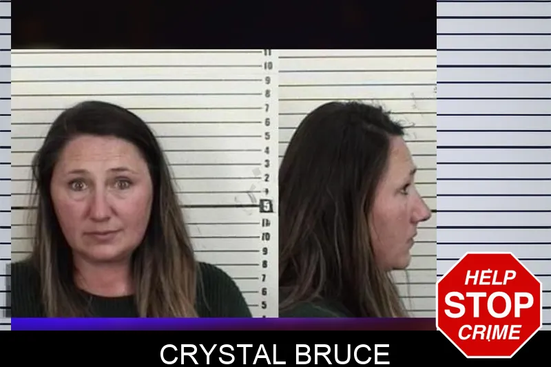 Crystal Bruce Mugshots