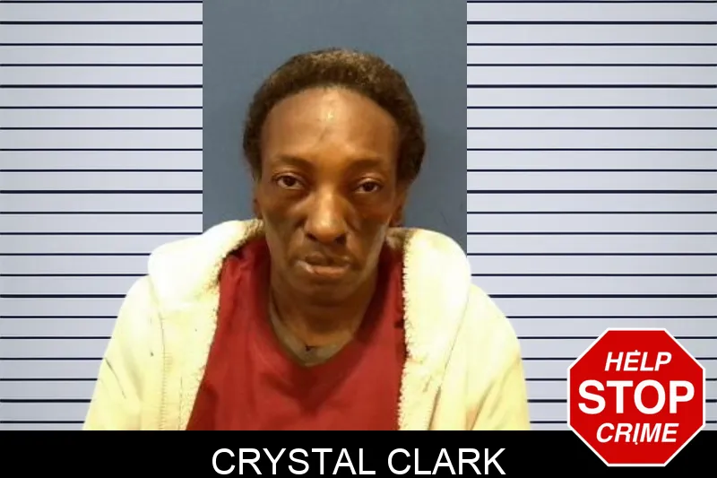 Crystal Clark Mugshots