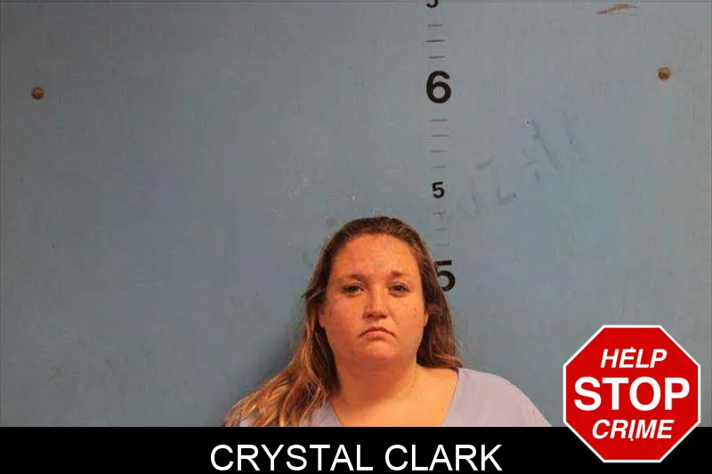 Crystal Clark mugshot – Monroe County , Georgia Crystal Clark mugshot