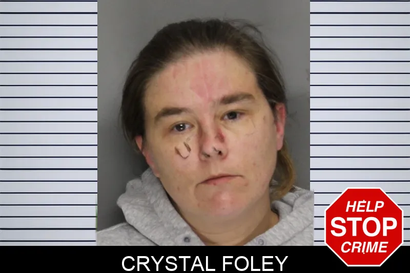 Crystal Foley Mugshots