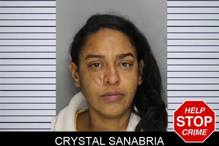 Crystal Sanabria mugshot – Cobb County , Georgia Crystal Sanabria