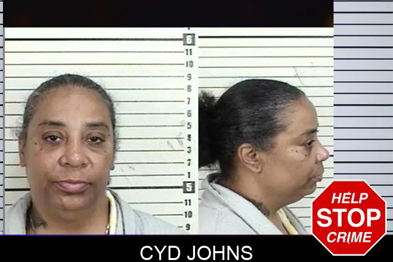 Cyd Johns Mugshots
