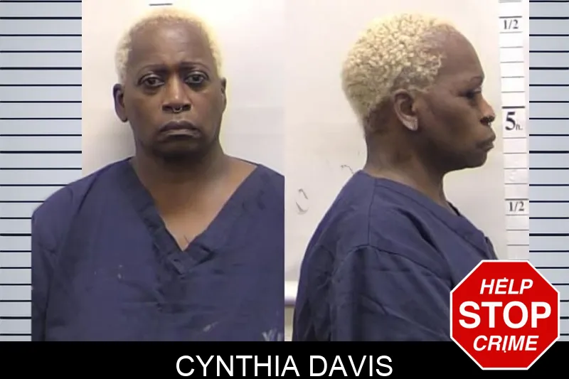 Cynthia Davis Mugshots