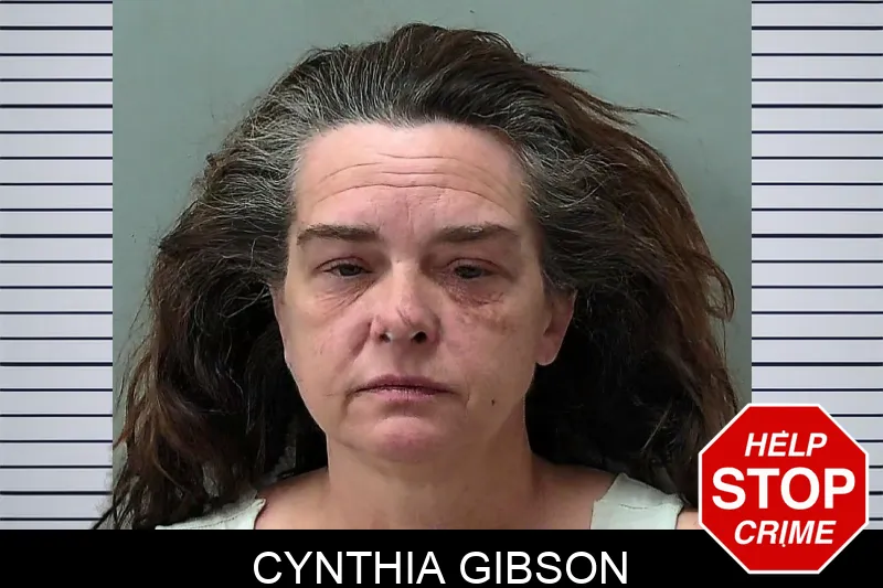 Cynthia Gibson Mugshots