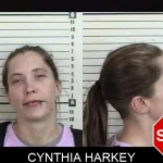 Cynthia Harkey Mugshots