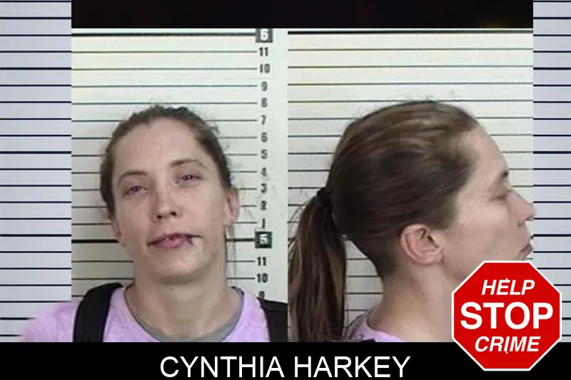 Cynthia Harkey Mugshots