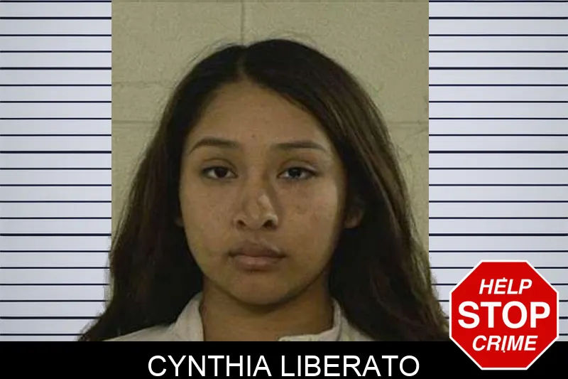 Cynthia Liberato Mugshots