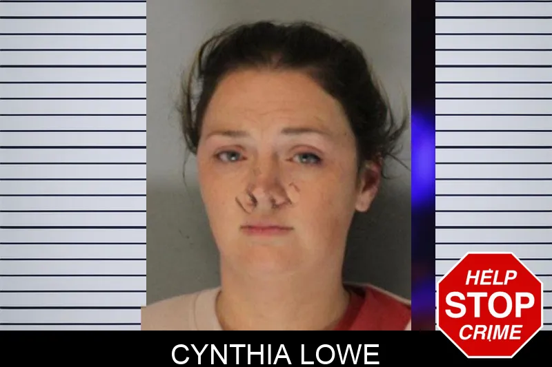 Cynthia Lowe Mugshots