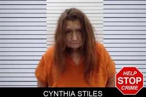 Cynthia Stiles mugshot