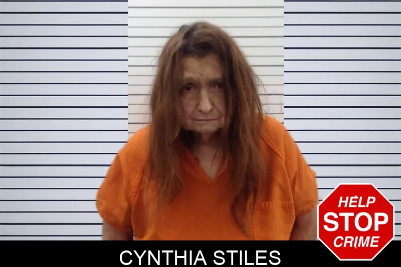 Cynthia Stiles Mugshots