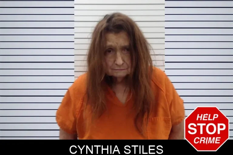 Cynthia Stiles