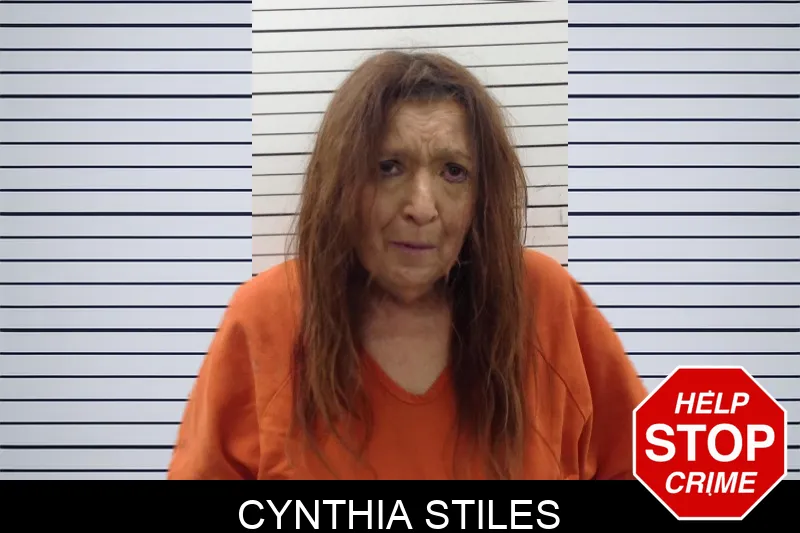 Cynthia Stiles Mugshots