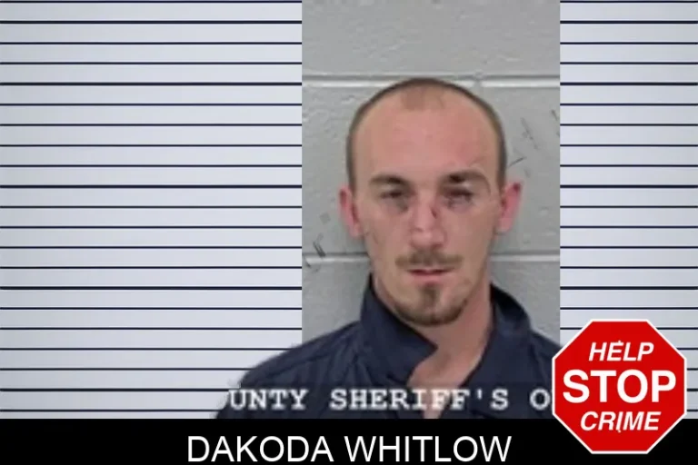 Dakoda Whitlow mugshot – Walton County , Georgia Dakoda Whitlow