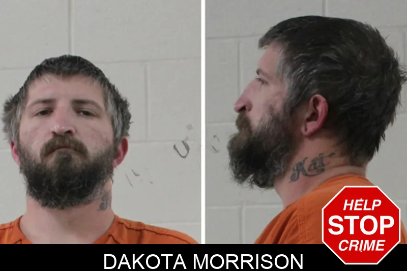 Dakota Morrison Mugshots
