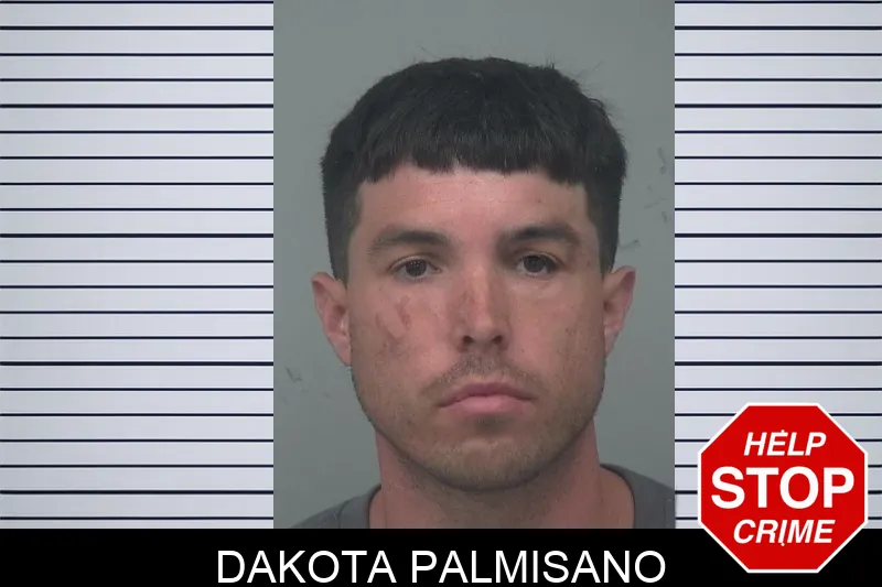 Dakota Palmisano
