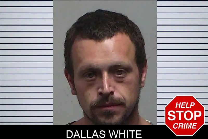 Dallas White Mugshots