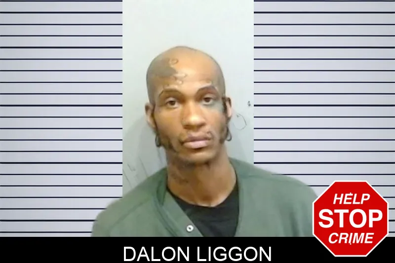 Dalon Liggon mugshot
