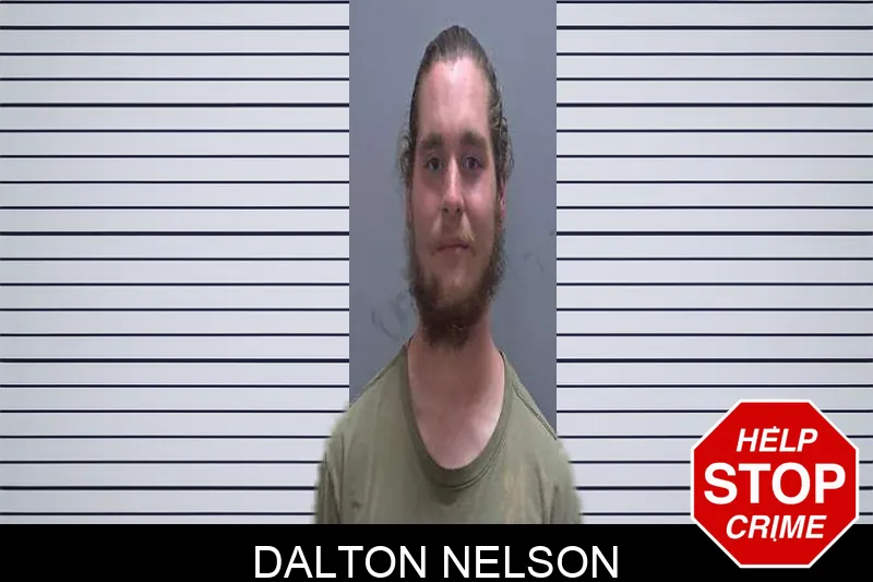 Dalton Nelson Mugshots