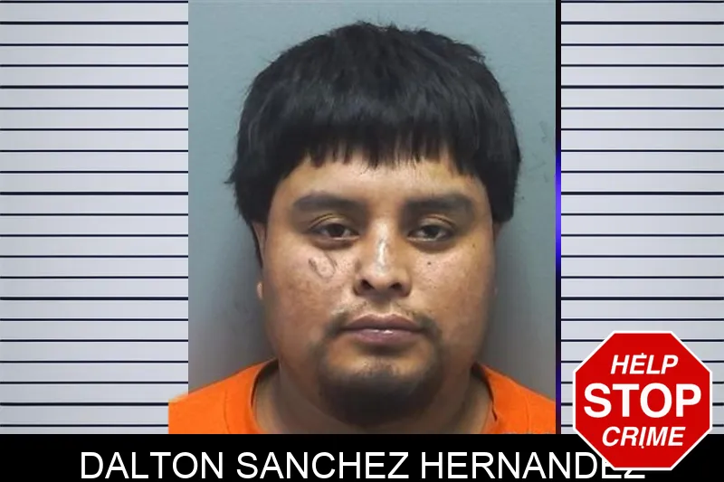 Dalton Sanchez Hernandez Mugshots