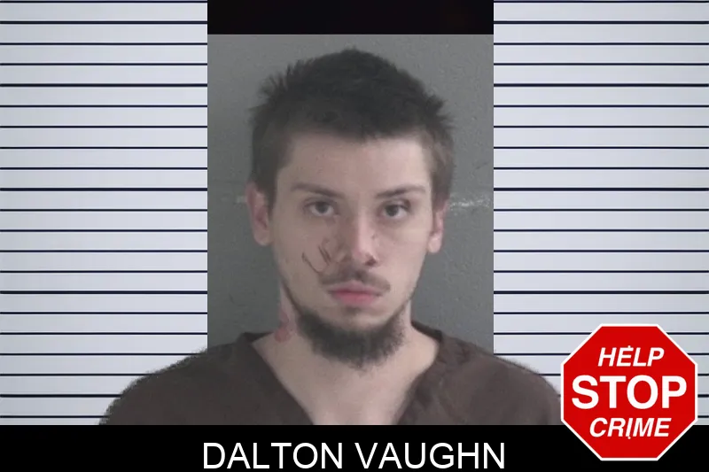 Dalton Vaughn Mugshots