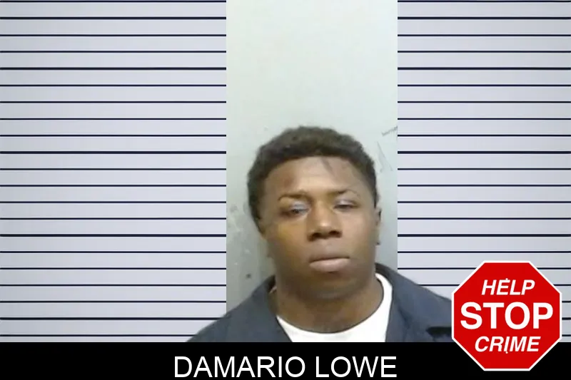 Damario Lowe mugshot