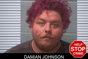 Damian Johnson mugshot