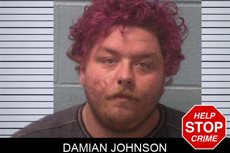 Damian Johnson Mugshots